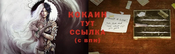 гидра Богородицк