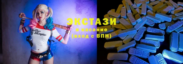 гидра Богородицк