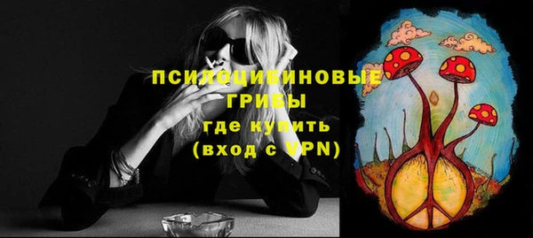 гидра Богородицк