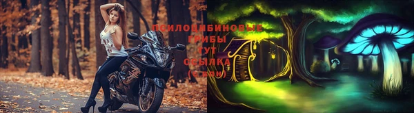 гидра Богородицк