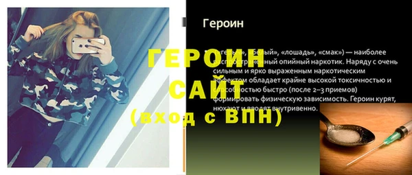 гидра Богородицк