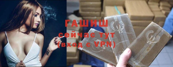 гидра Богородицк