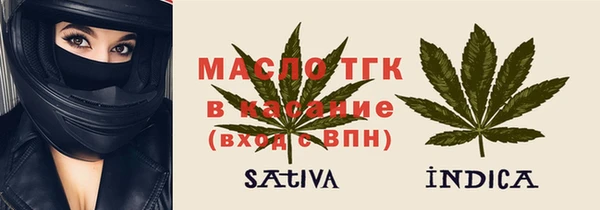 гидра Богородицк
