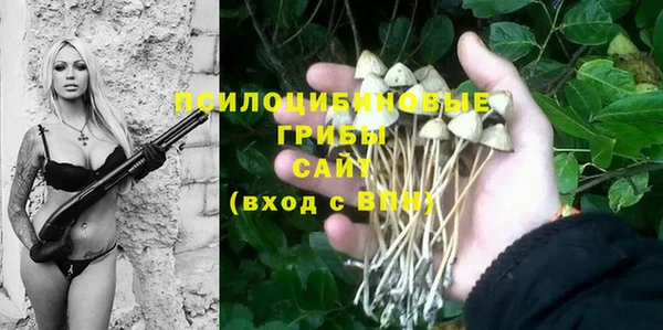 МДМА Богданович