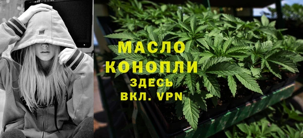 гидра Богородицк