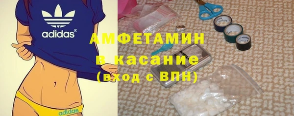 гидра Богородицк