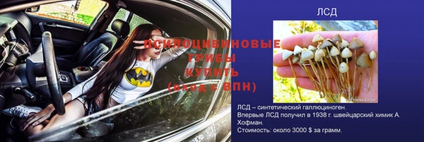 стаф Белоозёрский