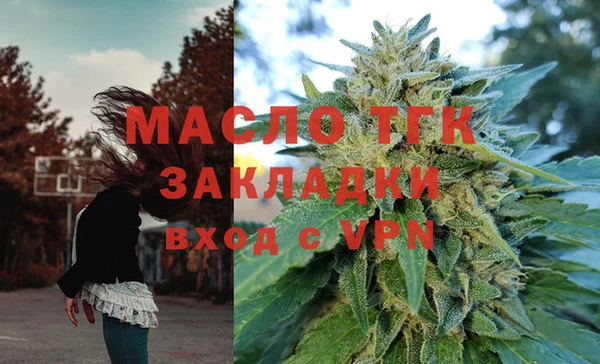 гидра Богородицк