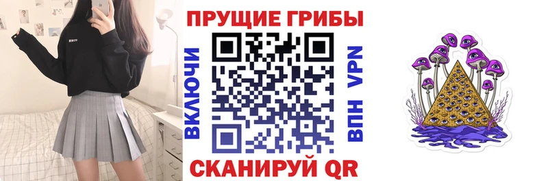 кракен ССЫЛКА  где продают наркотики  Плёс  Галлюциногенные грибы Cubensis 